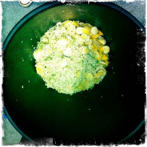Steeping Elderflower