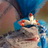 chameleonic