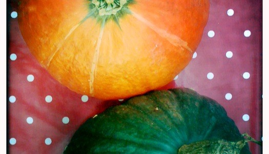 A celebration of squash