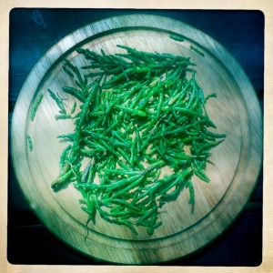 picture of samphire