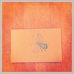 picture of seed packet